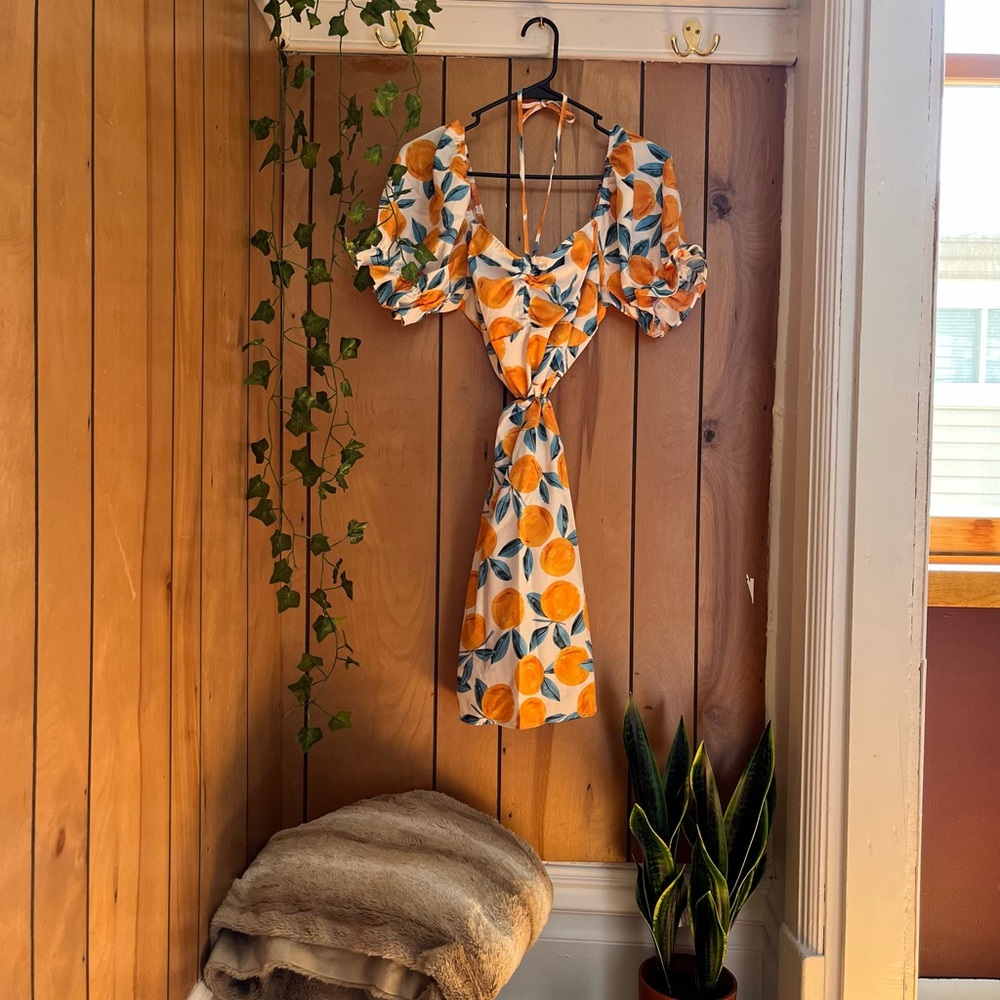 ☀️ 👗 bio: let’s spend the day out in the park and have ourselves a picnic 🧺